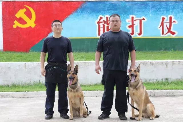 业余爱好者如何系统地学习篮球技能_0
